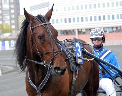 Global Above All och Anders Eriksson. Foto av Lars Jakobsson/TR Bild